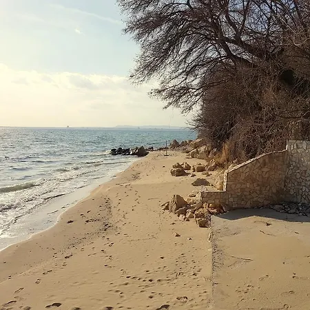 Alex Beach شقة